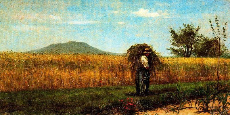  135-Motivo di grano-1862